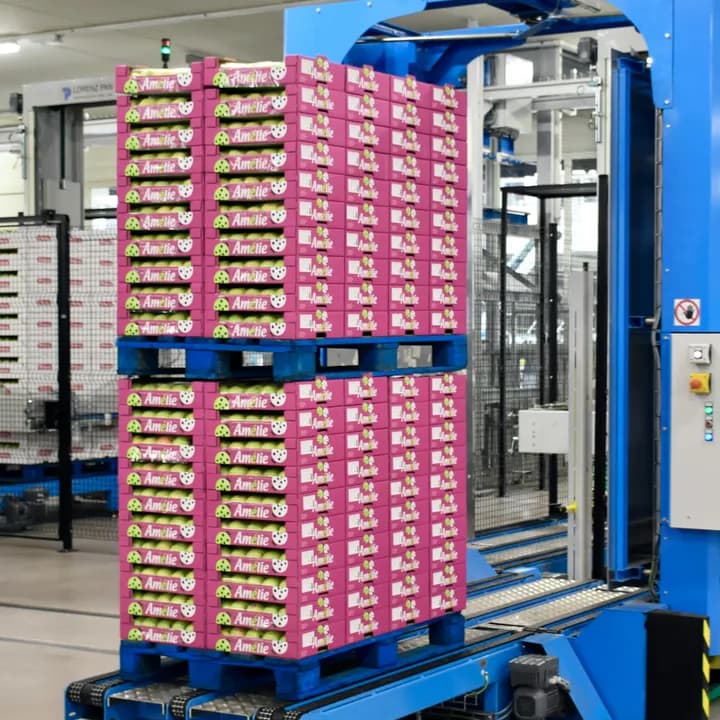 Palletized cartons leaving an automated palletizing cell on a conveyor.